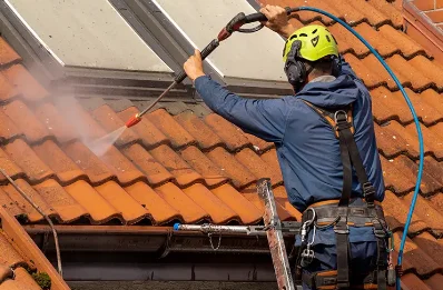 Démoussage et hydrofuge de toiture à Gandelain